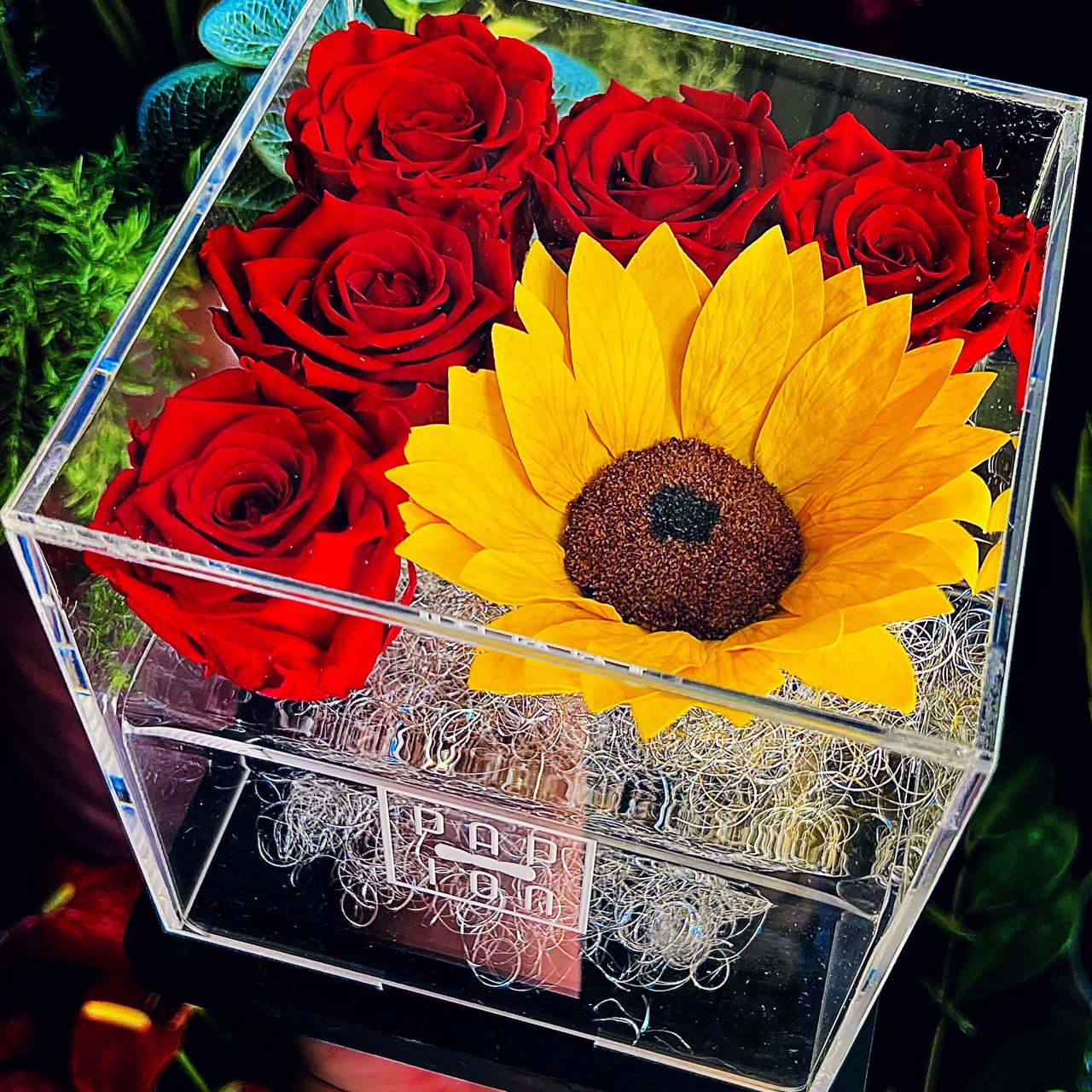 Plexiglass Collection - 5 rose rosse stabilizzate + 1 girasole gigante  stabilizzato - PAPION®