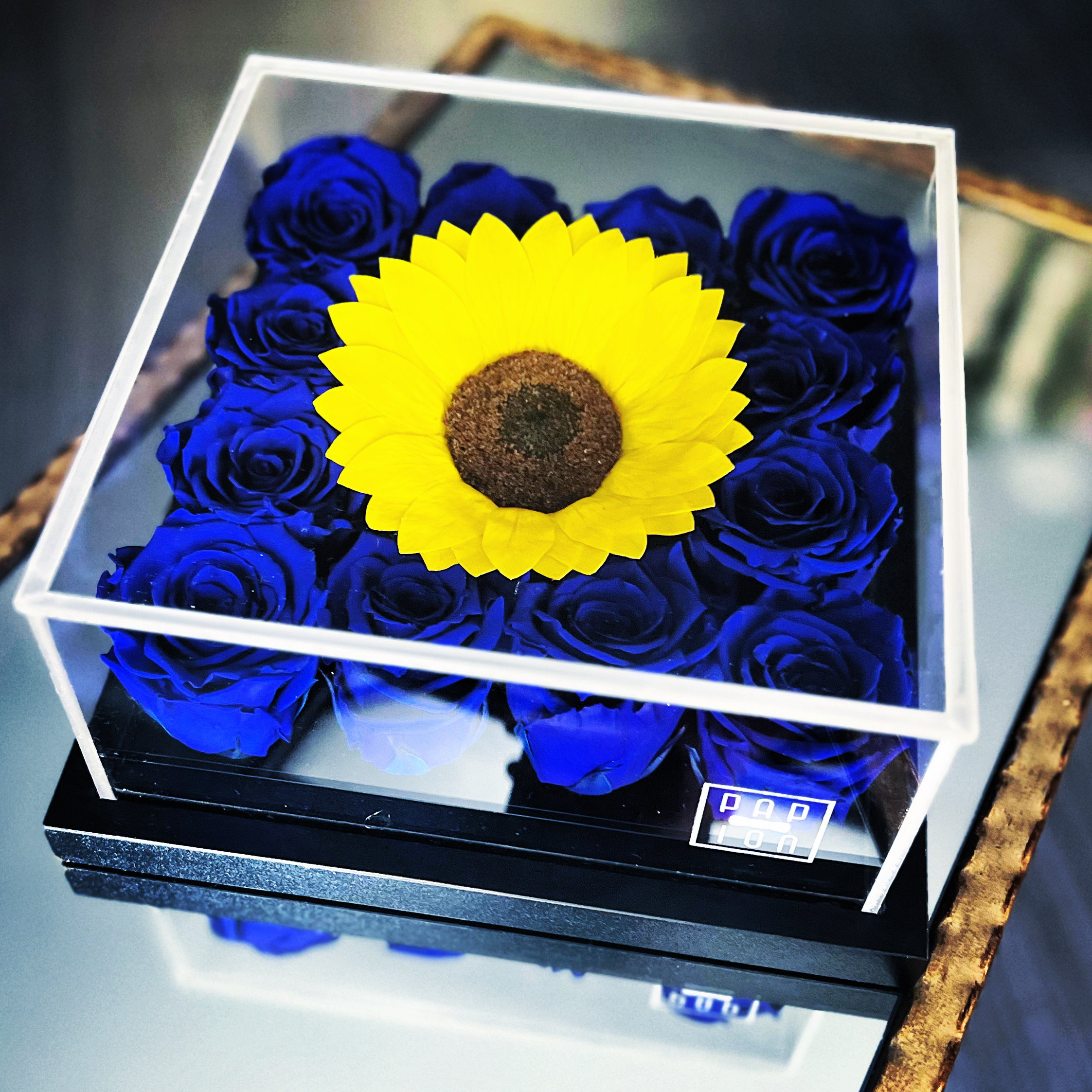 Special Sunflower Plexiglass(12 rose blu e 1 girasole) fiori stabilizzati