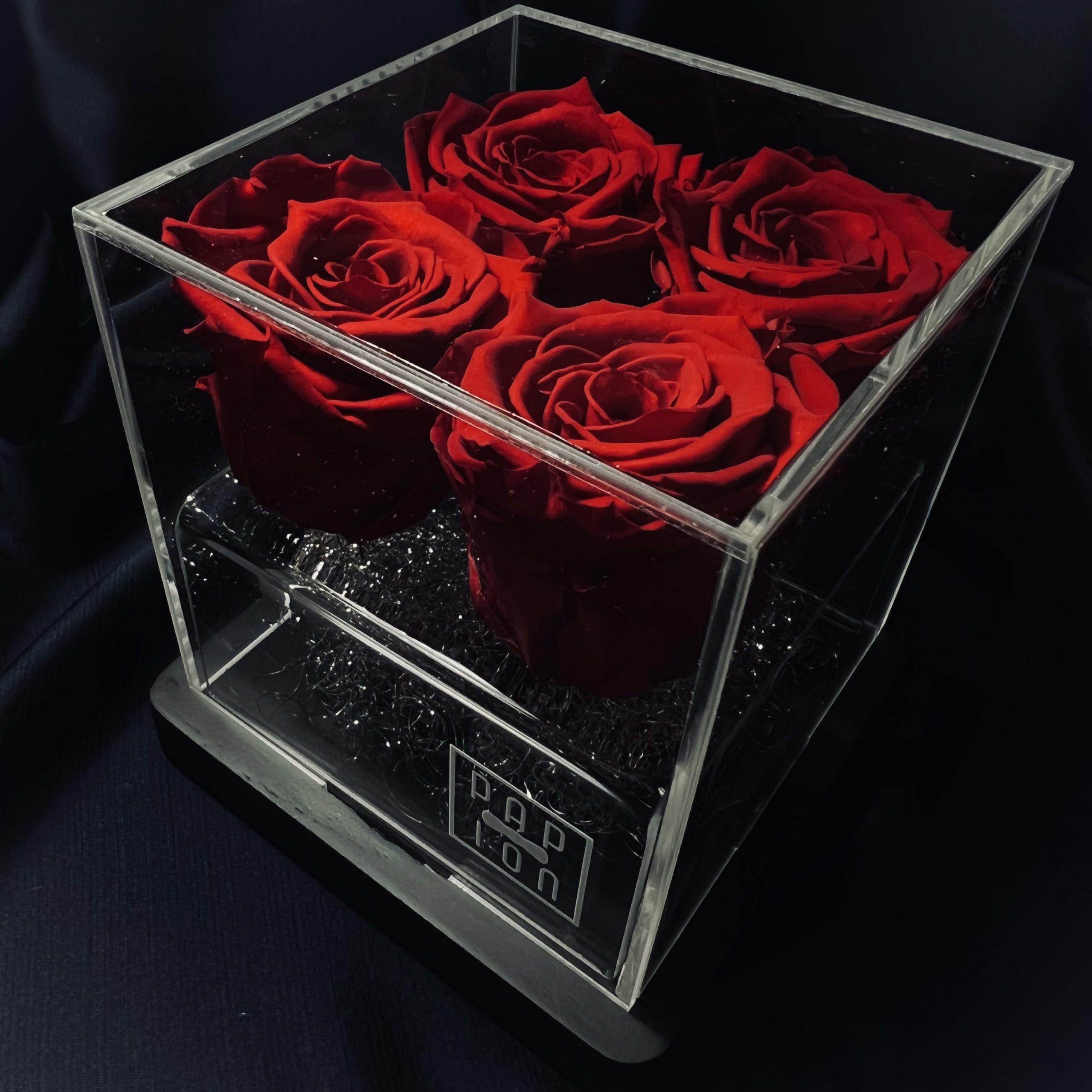 Plexiglass Collection - 4 Rose stabilizzate - PAPION®