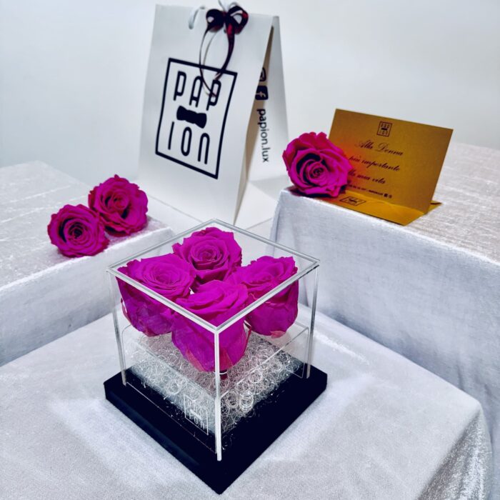 deluxe flowerbox in plexiglass con quattro rose fucsia stabilizzate
