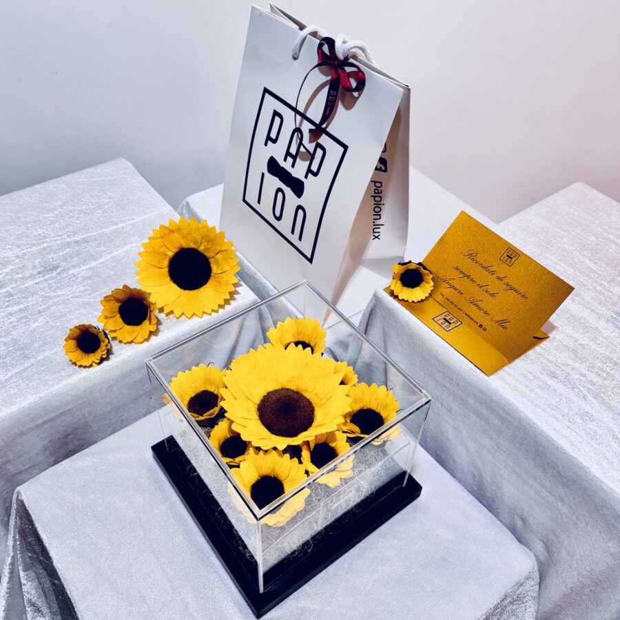 sunflower flowerbox in plexiglass con girasoli stabilizzati