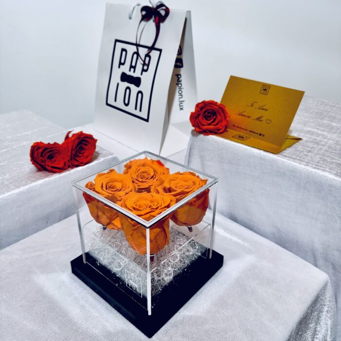 deluxe flowerbox in plexiglass con quattro rose arancioni stabilizzate