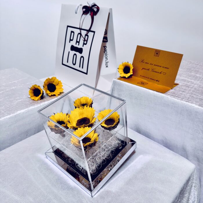 sunflower flowerbox in plexiglass con girasoli stabilizzati