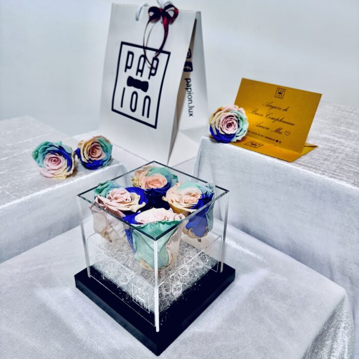 deluxe flowerbox in plexiglass con quattro rose arcobaleno pastello stabilizzate