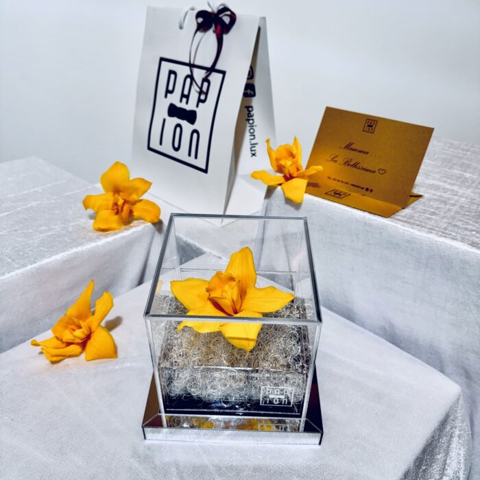 deluxe flowerbox in plexiglass con un'orchidea gialla stabilizzata