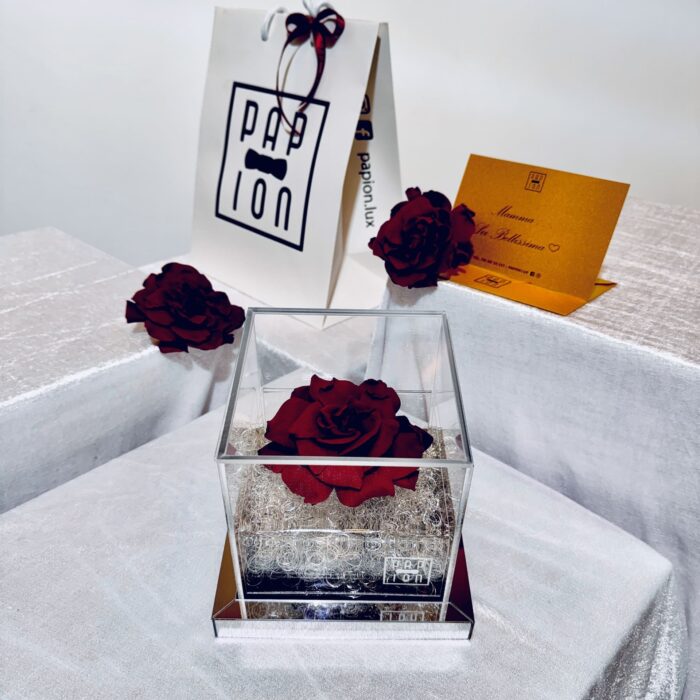 deluxe flowerbox in plexiglass con una gardenia rossa stabilizzata