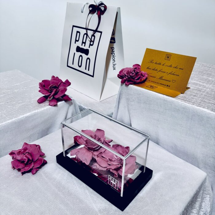 double flowerbox in plexiglass con due gardenie rosa stabilizzate