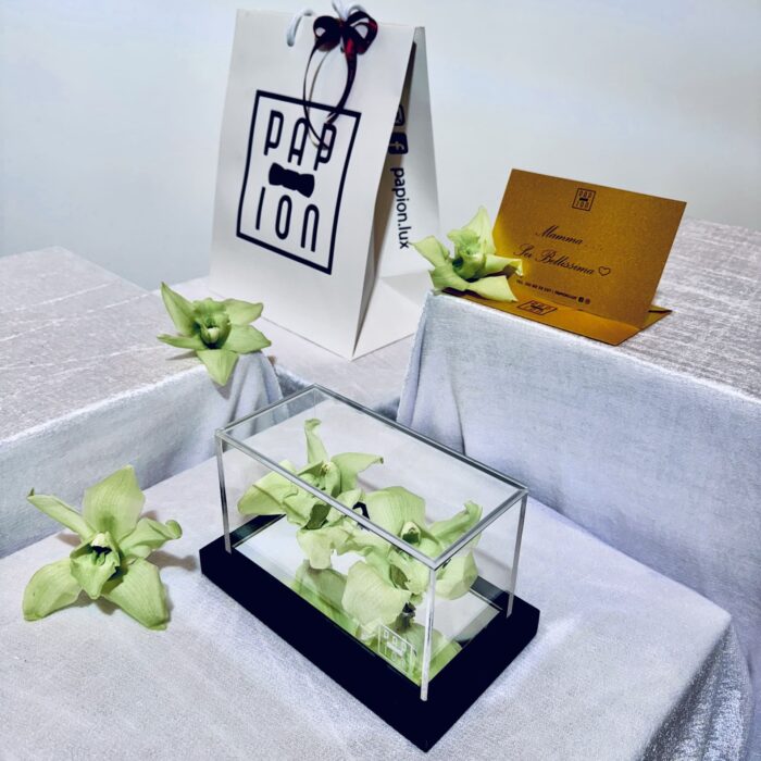 double flowerbox in plexiglass con due orchidee verdi stabilizzate