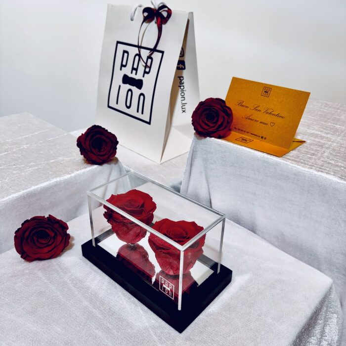 double flowerbox in plexiglass con due rose rosse stabilizzate