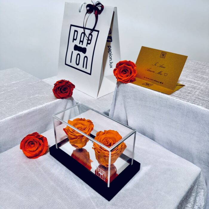 double flowerbox in plexiglass con due rose arancioni stabilizzate