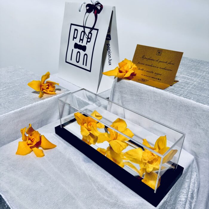 tris flowerbox in plexiglass con tre orchidee gialle stabilizzate