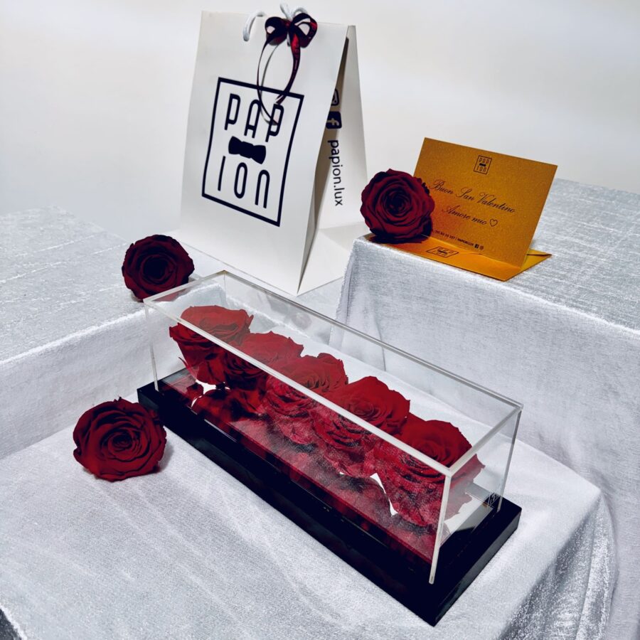 five roses flowerbox in plexiglass con cinque rose rosse stabilizzate
