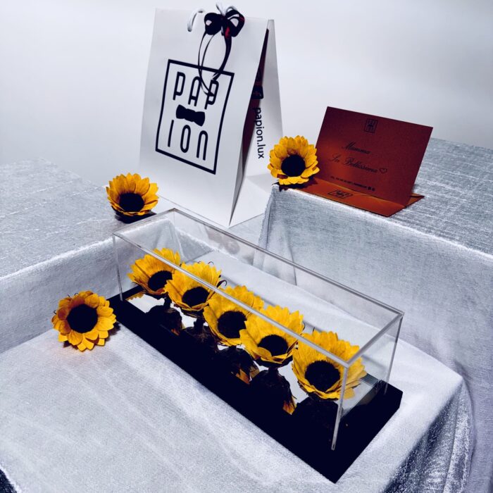 five sun flowerbox in plexiglass con cinque girasoli stabilizzati