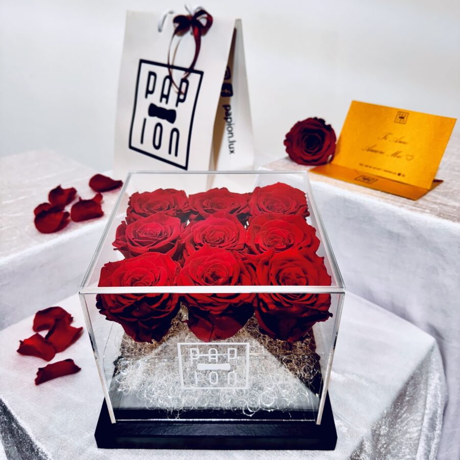 luxury flowerbox in plexiglass con nove rose rosse stabilizzate