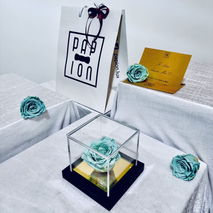prestige flowerbox in plexiglass con una rosa tiffany stabilizzata