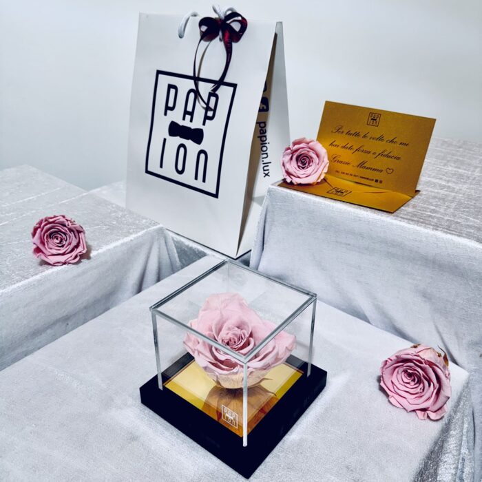 prestige flowerbox in plexiglass con una rosa rosa stabilizzata