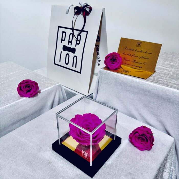 prestige flowerbox in plexiglass con una rosa fucsia stabilizzata