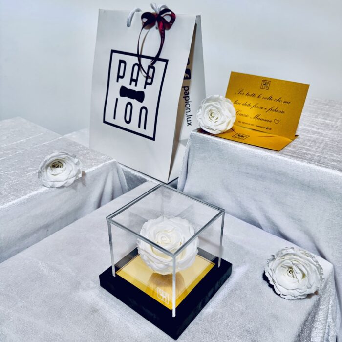 prestige flowerbox in plexiglass con una rosa bianca stabilizzata