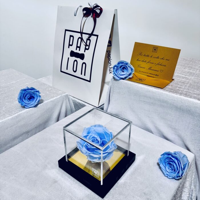 prestige flowerbox in plexiglass con una rosa celeste stabilizzata