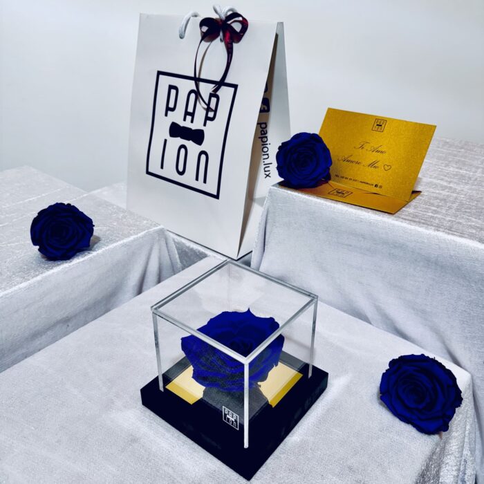 prestige flowerbox in plexiglass con una rosa blu stabilizzata