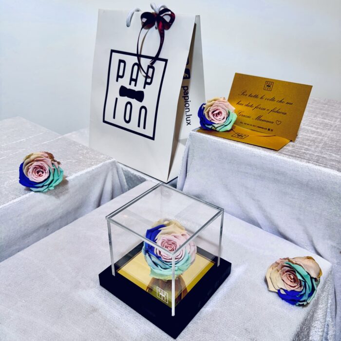 prestige flowerbox in plexiglass con una rosa arcobaleno pastello stabilizzata