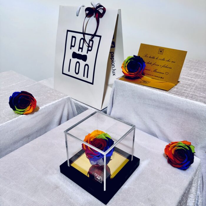 prestige flowerbox in plexiglass con una rosa arcobaleno vivace stabilizzata