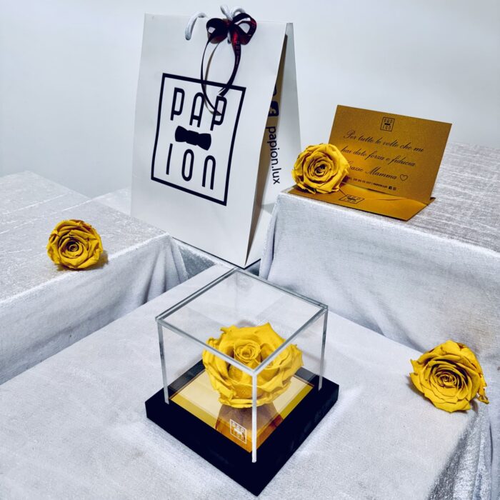 prestige flowerbox in plexiglass con una rosa giallo stabilizzata