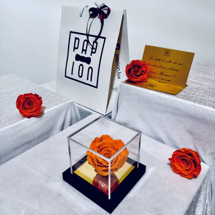 prestige flowerbox in plexiglass con una rosa arancione stabilizzata