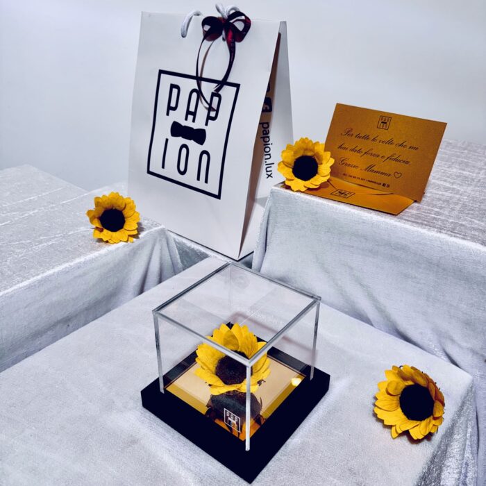 prestige flowerbox in plexiglass con girasole stabilizzato