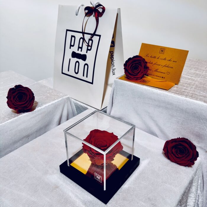 prestige flowerbox in plexiglass con una rosa rossa stabilizzata