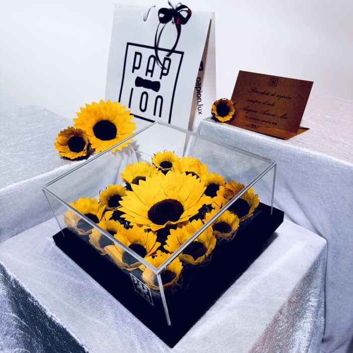 sunflower flowerbox in plexiglass con dodici girasoli stabilizzati e un girasole gigante stabilizzato