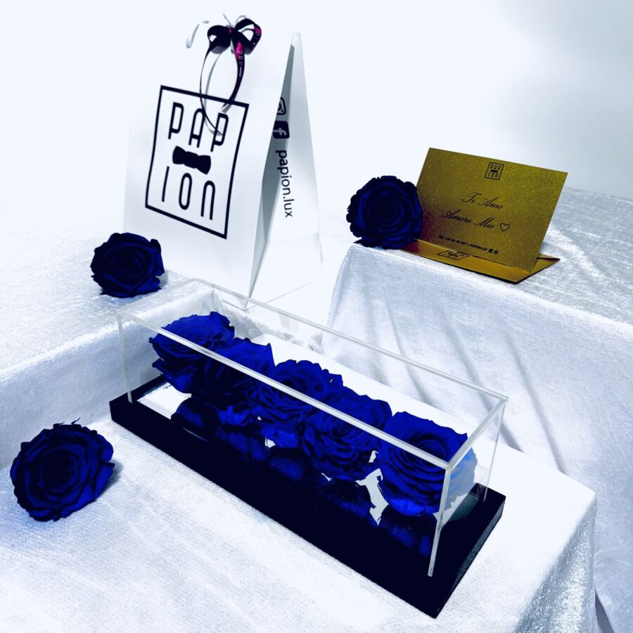 five roses flowerbox in plexiglass con cinque rose blu stabilizzate