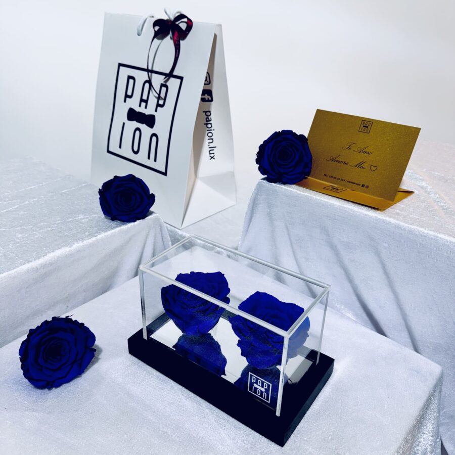 double flowerbox in plexiglass con due rose blu stabilizzate